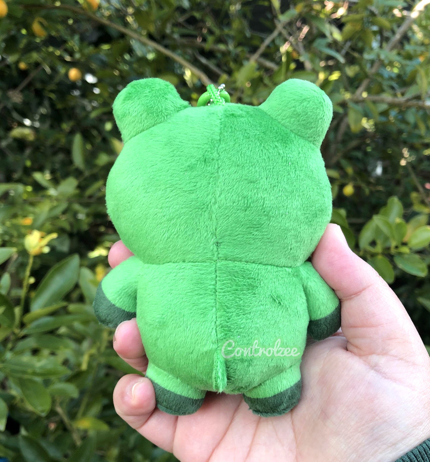 Frog Moo Plushie